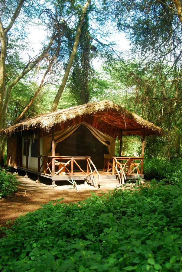 Migunga Tented Camp Mto wa Mbu Exterior photo