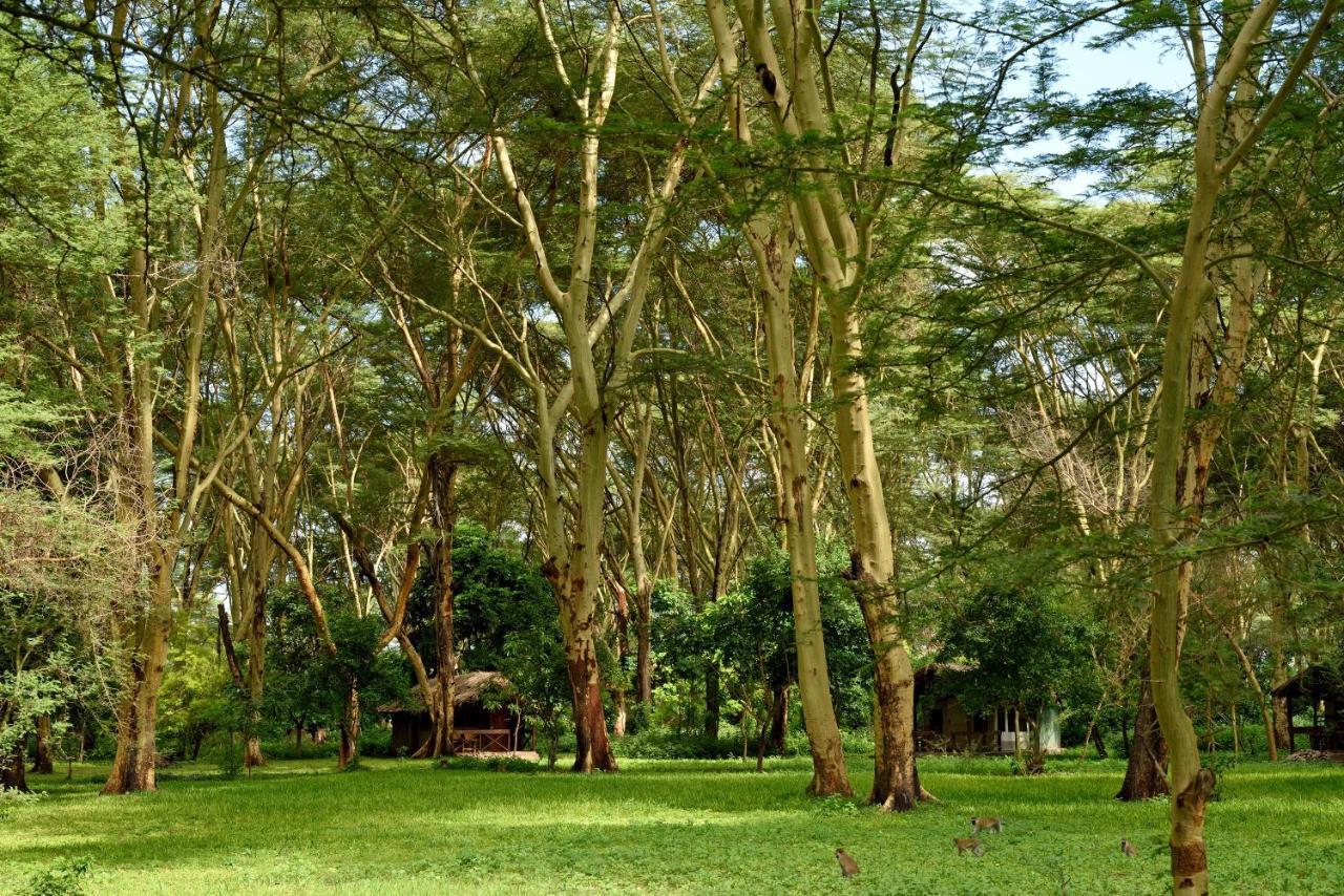 Migunga Tented Camp Mto wa Mbu Exterior photo
