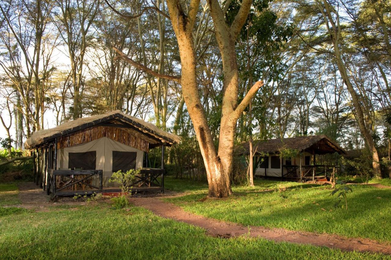 Migunga Tented Camp Mto wa Mbu Exterior photo